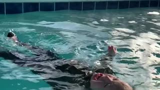 Baby Passes Test Of Jumping Into Pool With Clothes On