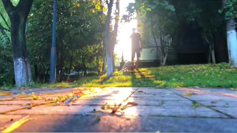 Super cool pup performs incredible backflip trick