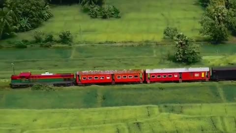 ceylon train