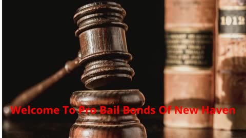 Pro Bail Bonds Of New Haven