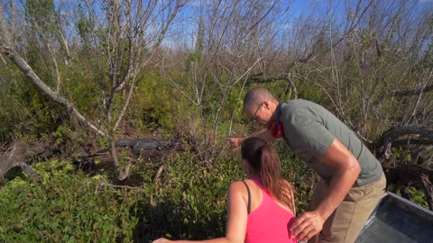 Couple Pointing Out Alligator, Everglades Tour