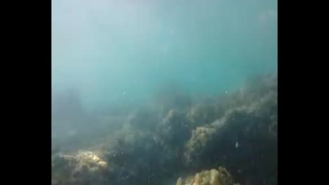 Playa Tecolote under water video test