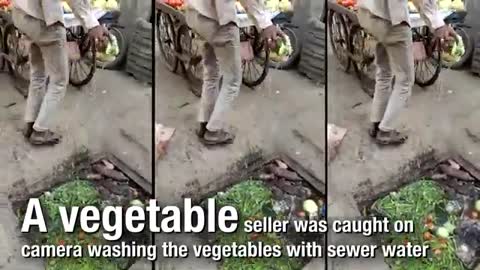 man was cought washing vegetables with sewer water