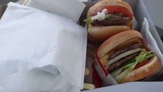 In-N-Out Burger Review! *Las Vegas*