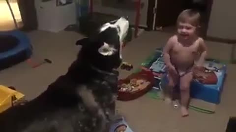 FUNNY baby and dog fight😆😂🤣#cat #cats #funnycat #funnycats #animals