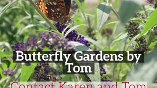Butterfly Gardens by Grosh's Lawn Service