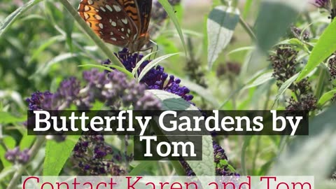 Butterfly Gardens by Grosh's Lawn Service