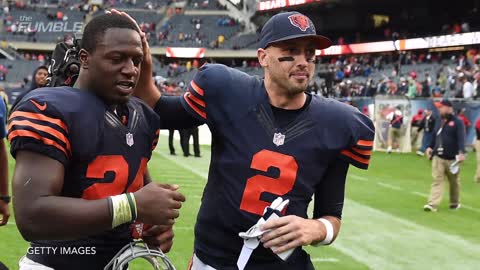 Fan In Harambe Suit Runs On The Field During Bears vs. Lions Game