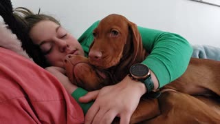 Puppy Nap Time Cuddles