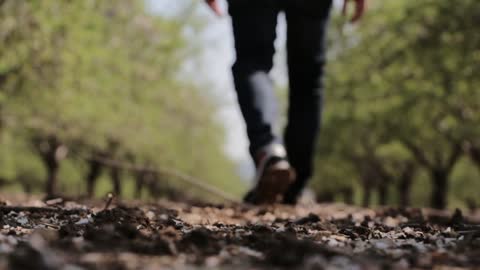 Walking in Forest