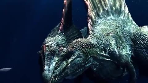 Spinos swimming !