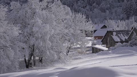 Most Dangerous Snow Storm 2022 | Snow blizzard hits parts of Canada |