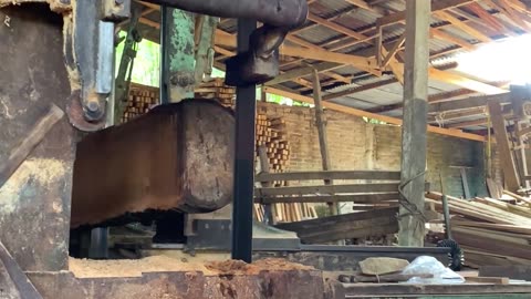 pungent stench!! The sawmill of native coconut trees from Sulawesi is hard as iron