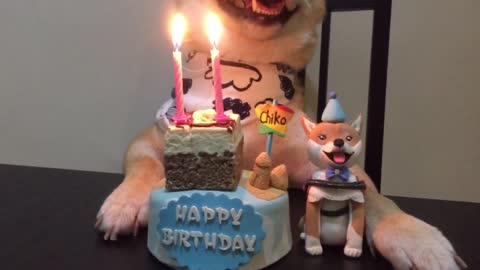 Chiko Birthday