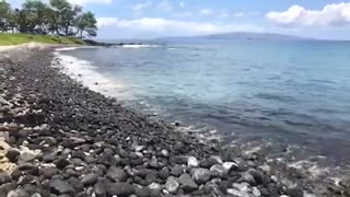 Wailea Beach Path on Maui Exploring