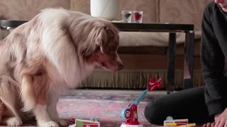 Dog and Owner Play Adorable Game of Looping Louie