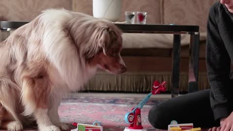 Dog and Owner Play Adorable Game of Looping Louie