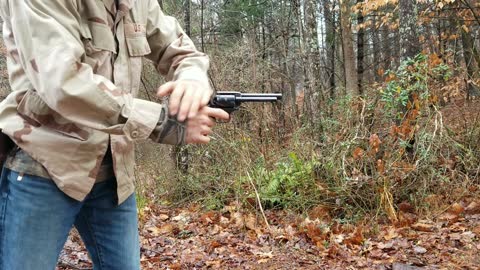 Heritage Rough Rider 22lr 300rd Review