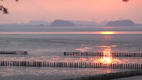 Red sunset and drained sea 7