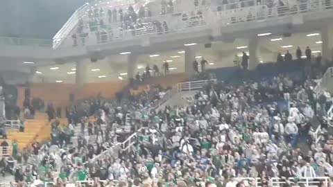 Panathinaikos fan reacts to video of Pavlos Giannakopoulos