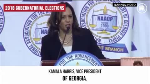 Democrats lying about past elections being stolen