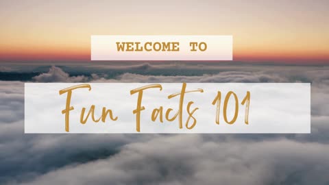 Trailor: Fun Fact 101