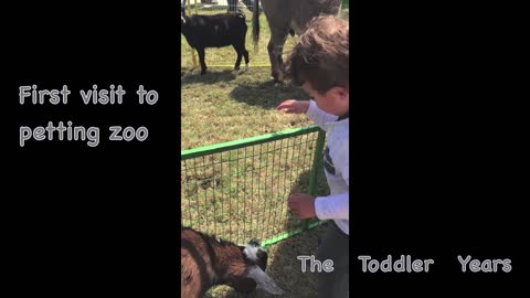 First Petting Zoo Visit (24 months)