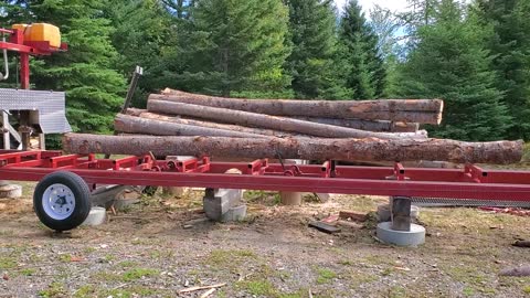 Sawmill Logs 2