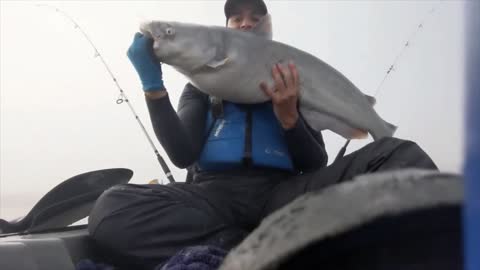 Caught a Monster 25lb Blue Catfish!