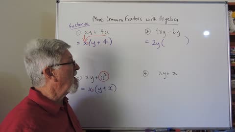Math Factor Set A 02 Common Factors With More Algebra