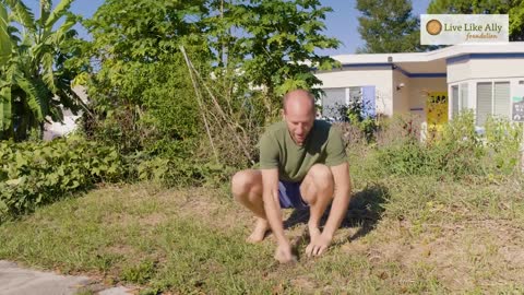 How to Turn Your Yard into a Garden | Grow Food Not Lawns