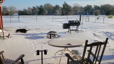 Cowboy snow fun!