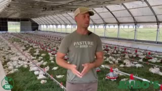Pasturebird - A new healthy way to raise chickens!