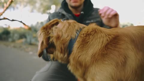 Magical Trick TO STOP YOUR DOG PULLING ON THE LEASH