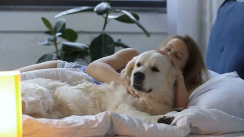 Lovely positive woman in pajama with golden labrador retriever awaking in bed in the morning