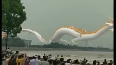 Tik Tok Chinese giant dragon