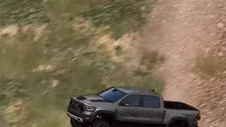 WILD - Police Chase