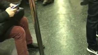 Man pets big black sleeping dog on subway