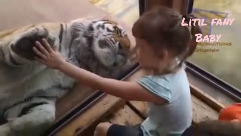 Fany FORGET CATS Funny KIDS vs ZOO ANIMALS are WAY FUNNI