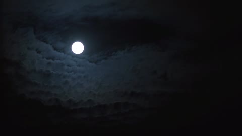 full | moon | raw 8