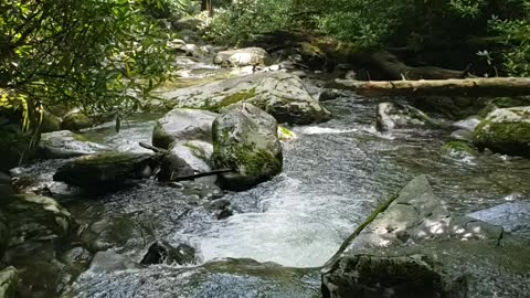 Beautiful Creek