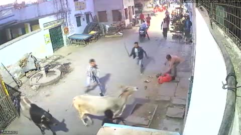 Stray Bull On Rampage Repeatedly Gores Man On Street