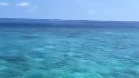 Crystal Clear Maldives