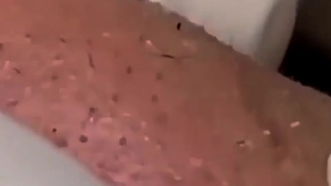 Gross but satisfying