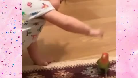 VIDEO CUTE BABY PLAYS WITH HIS CALOPSITA