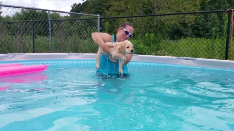 Puppy held above water continues air swimming