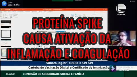 VACINAS E A PROTEÍNA SPIKE - RISCO AUMENTADO DE EVENTO ADVERSO