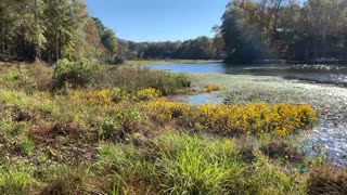 Beautiful scenery along the Coosa River