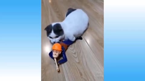 Funny Cats & Dogs Videos - TRY NOT TO LAUGH