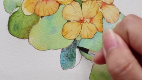 The master of painting teaches you how to draw watercolor nasturtium step by step, come and learn